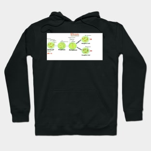 Mitosis - Somatic cell division. Hoodie